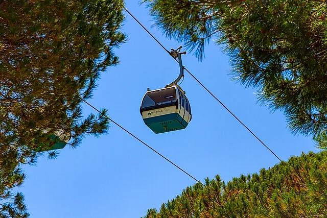 Una cabina della funivia che scorre sul cavo tra i pini del Parque das Nações